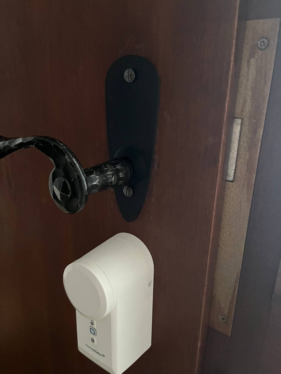 Door handle coverplate by Niggl | Download free STL model | Printables.com