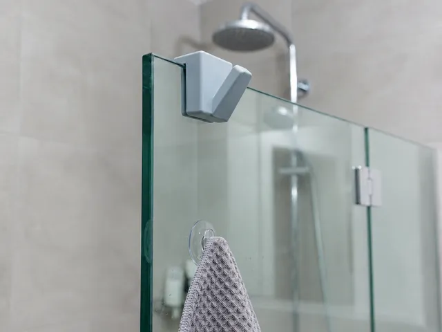 Shower hook