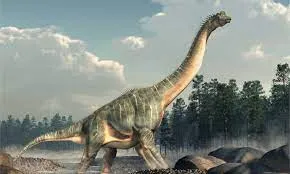 brachiosaurus