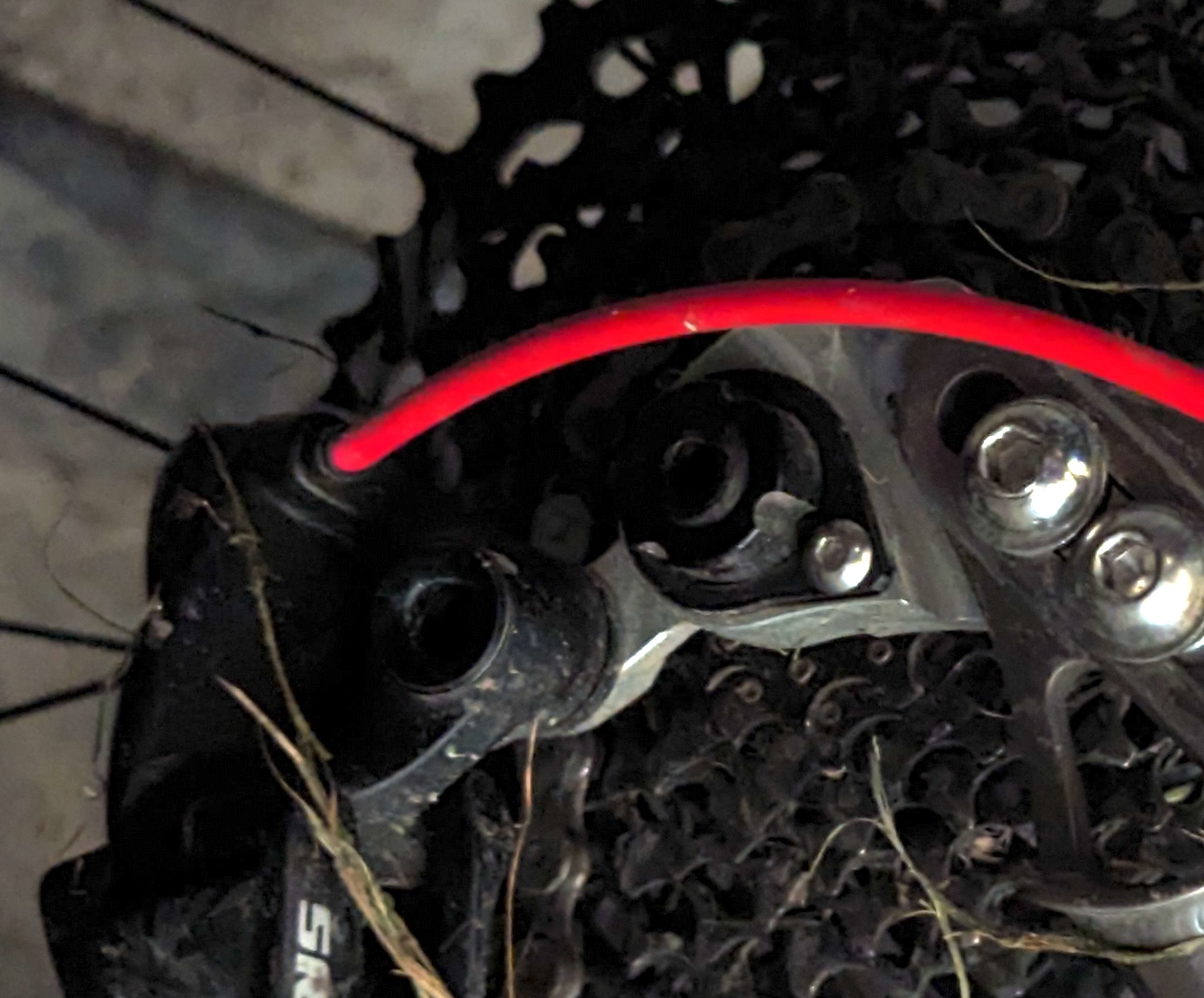 maintien ecrou SHIFT-UP velo sauvage