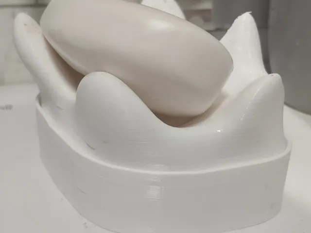 Soap Tray