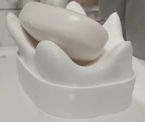 Soap Tray