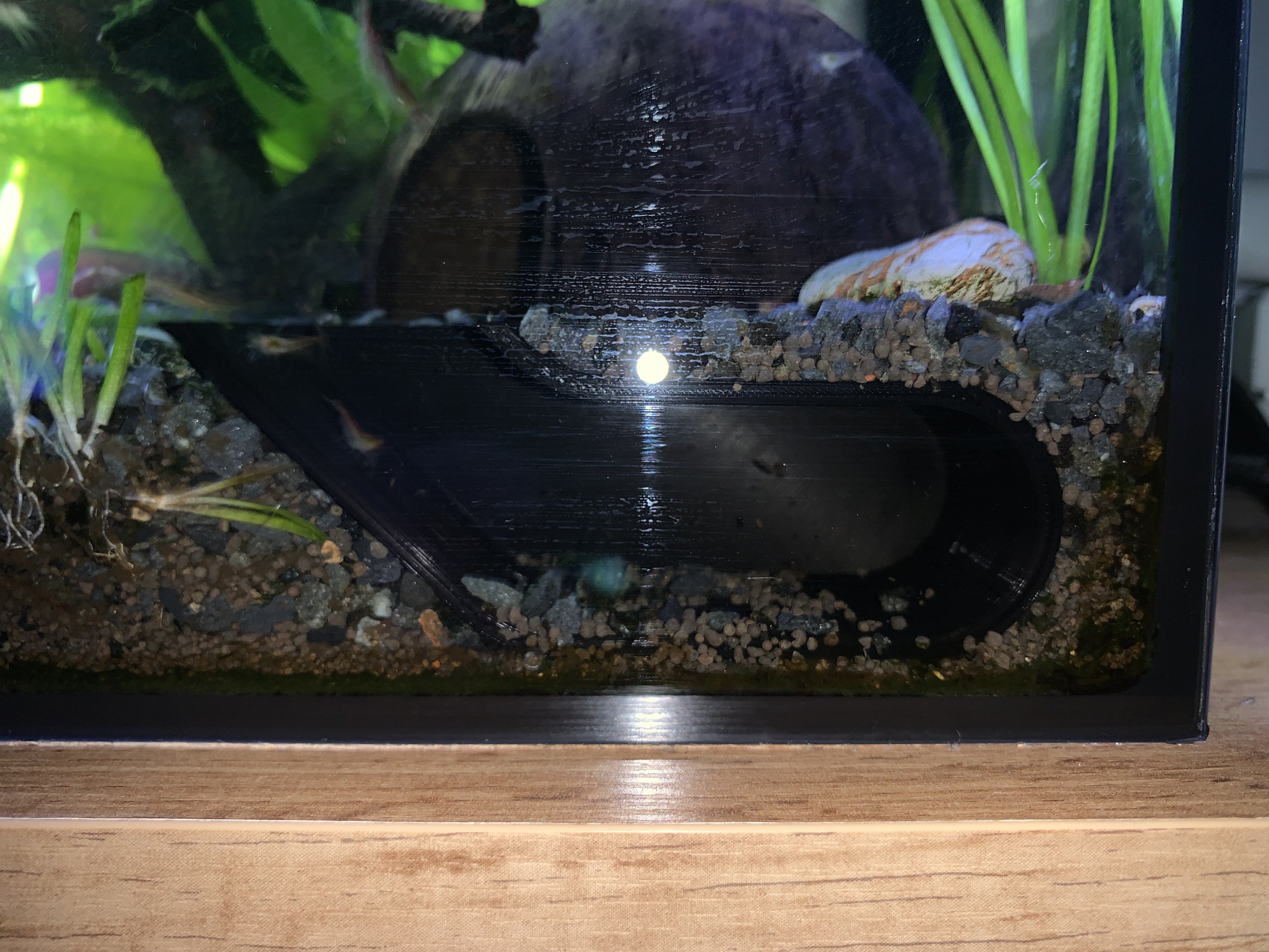 Miniatura 6 do modelo 3D Aquarium viewing cave
