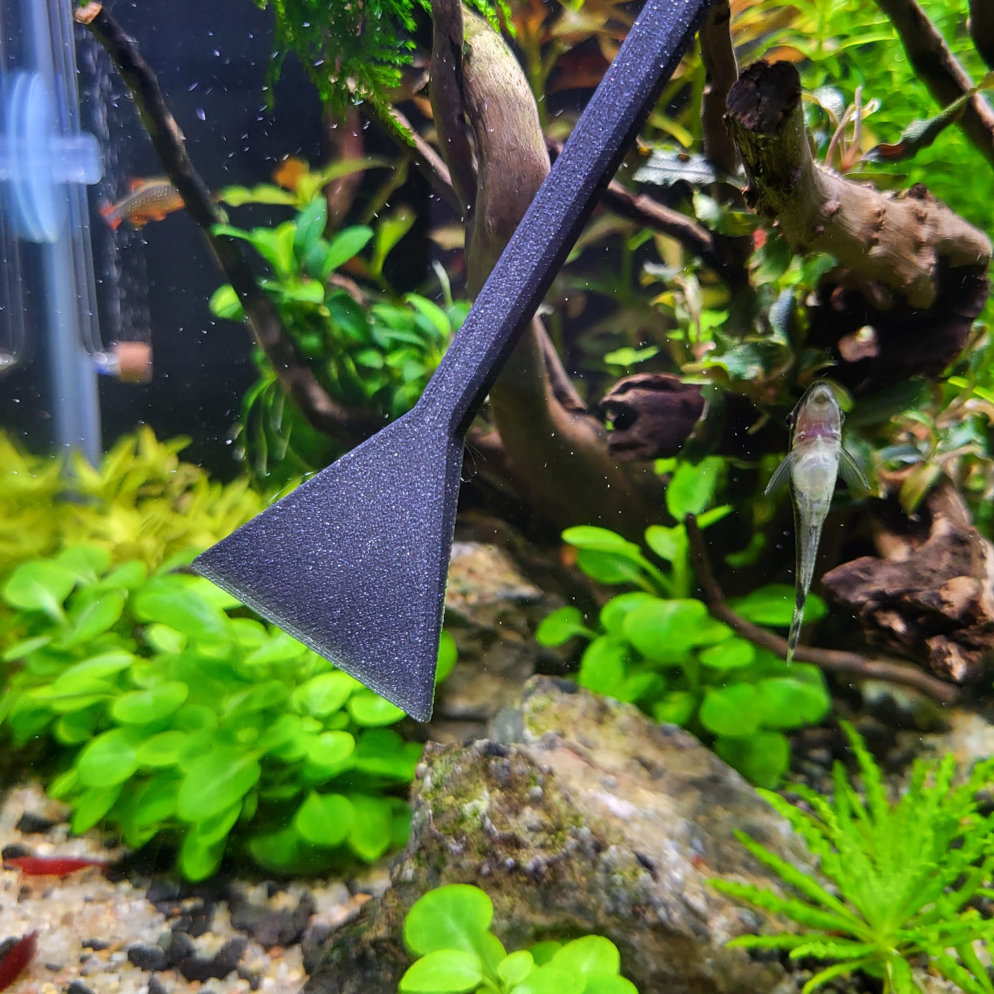 Parametric Scaper's tool - aquarists best friend