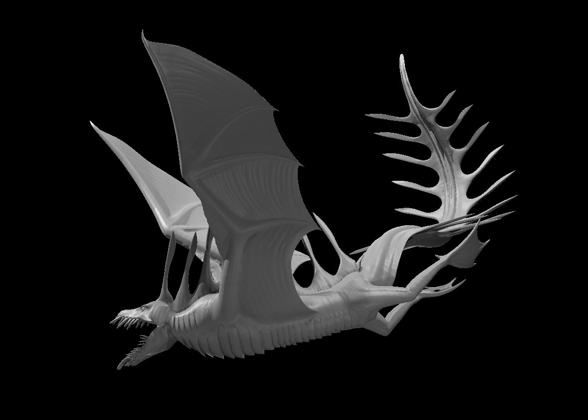 Coral Drake by MZ4250 | Download free STL model | Printables.com