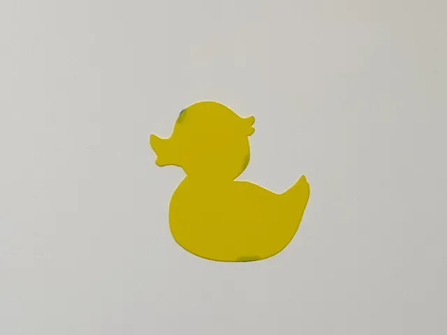 Duck Wall Art