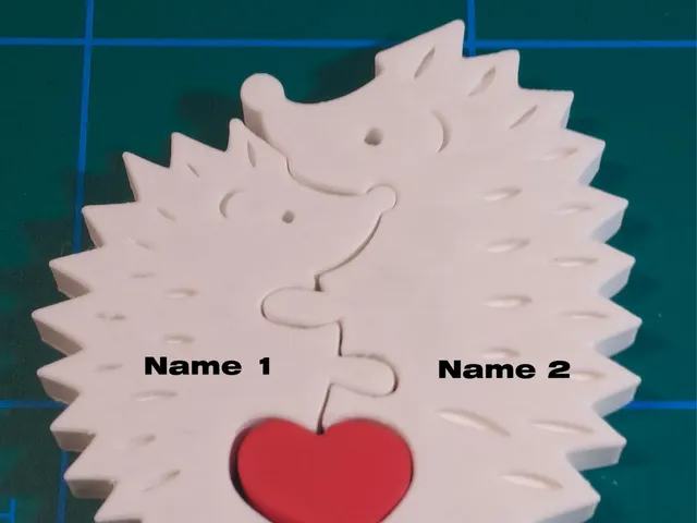 Valentine's Day - Two Hedgehog