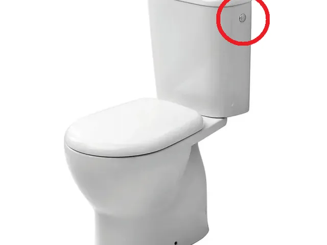 Side Cap and Spring for CIFIAL OPTIMA Toilet