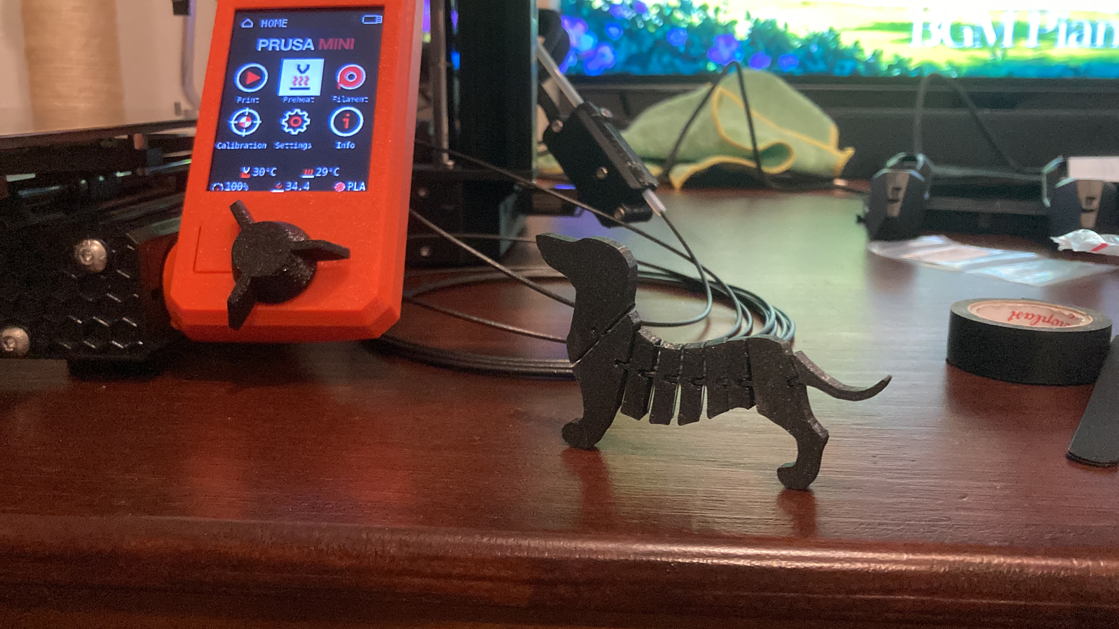 Flexi Dachshund