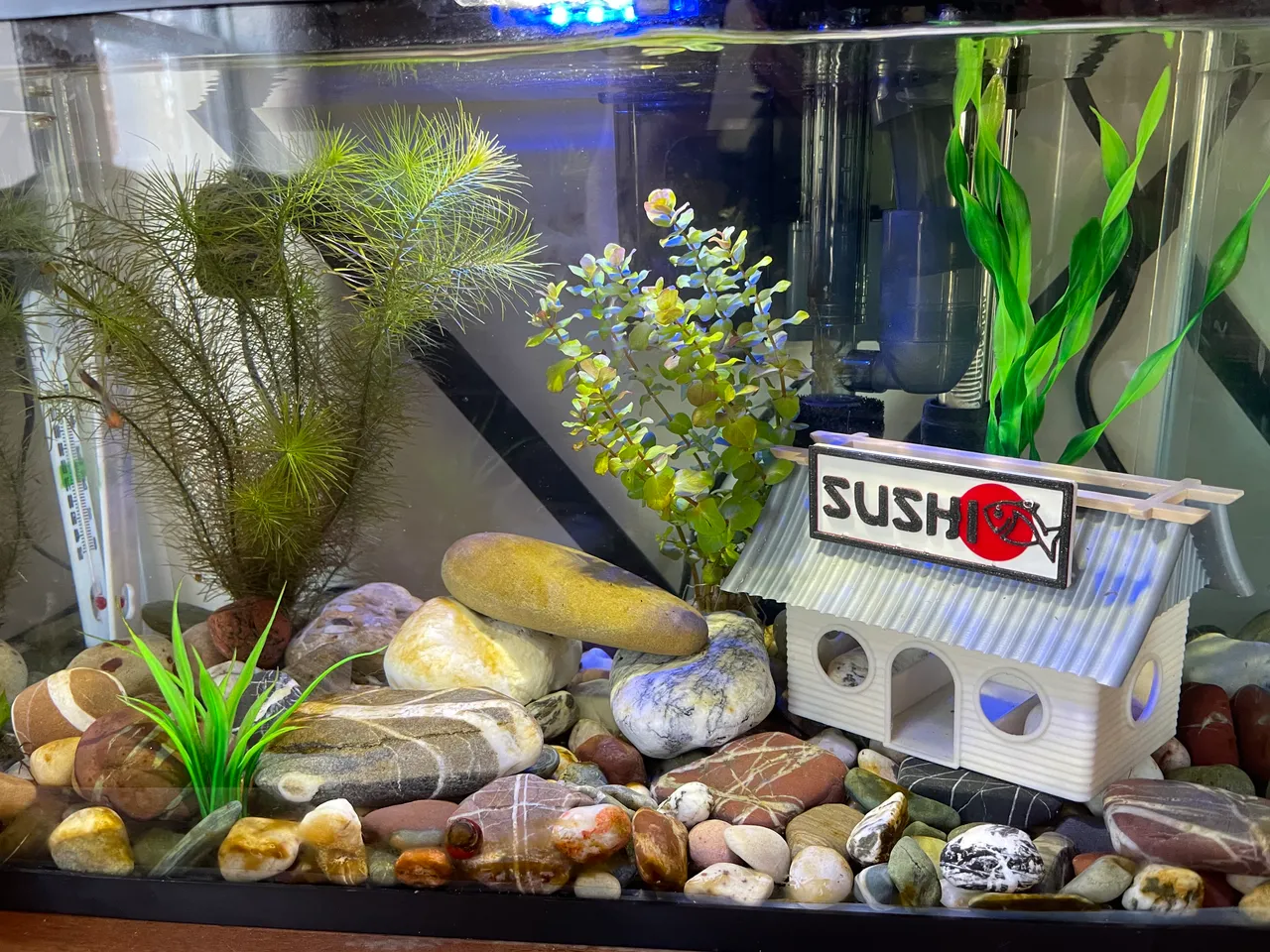 Sushi Shop Aquarium Decoration by Miguel M., Download free STL model
