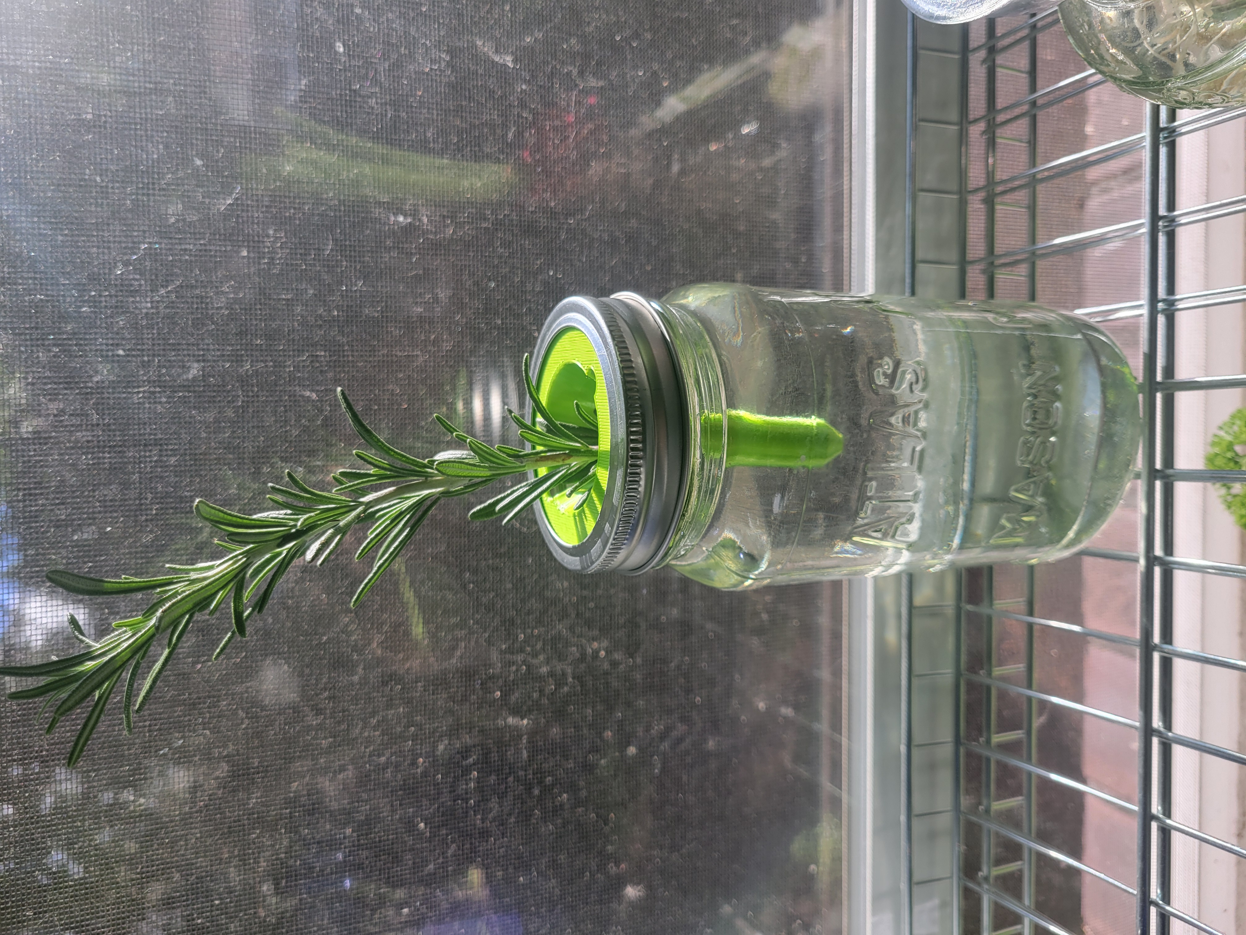 Mason Jar Lid Insert (Regular & Wide-Mouth) - Plant Cutting