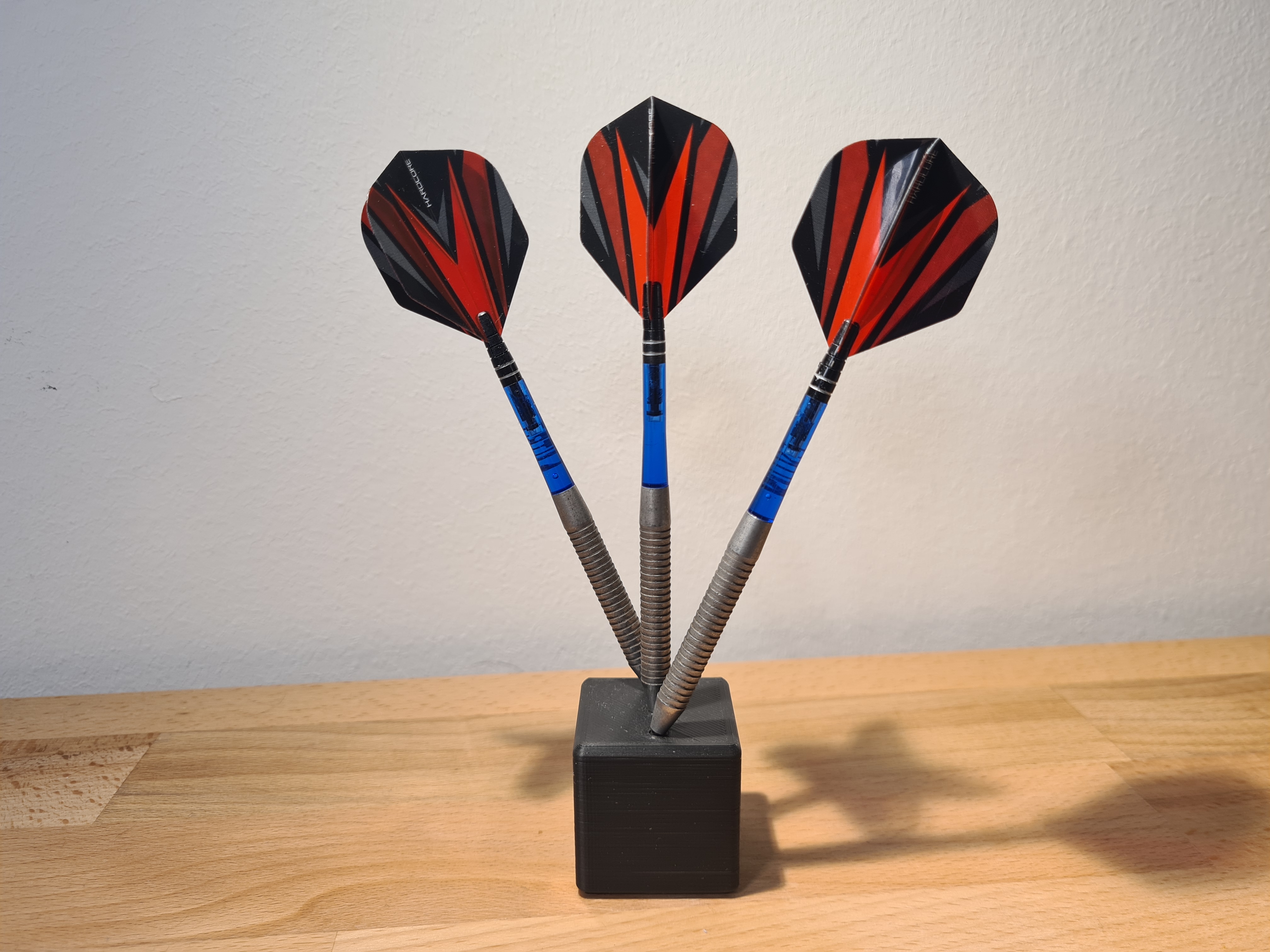Aukuoy Darts Case: Darts Case Holds 12 Darts And More Dart Accessories