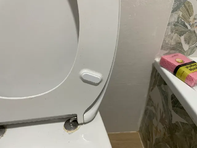 Toilet Bumper Roca Victoria