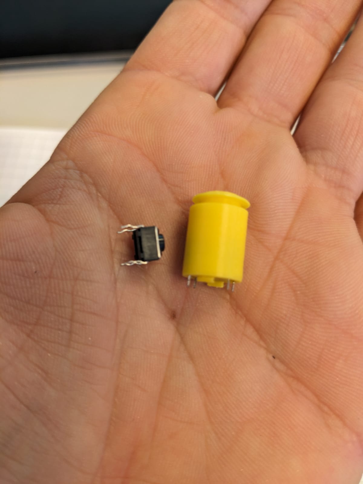 Case for tactile button switch