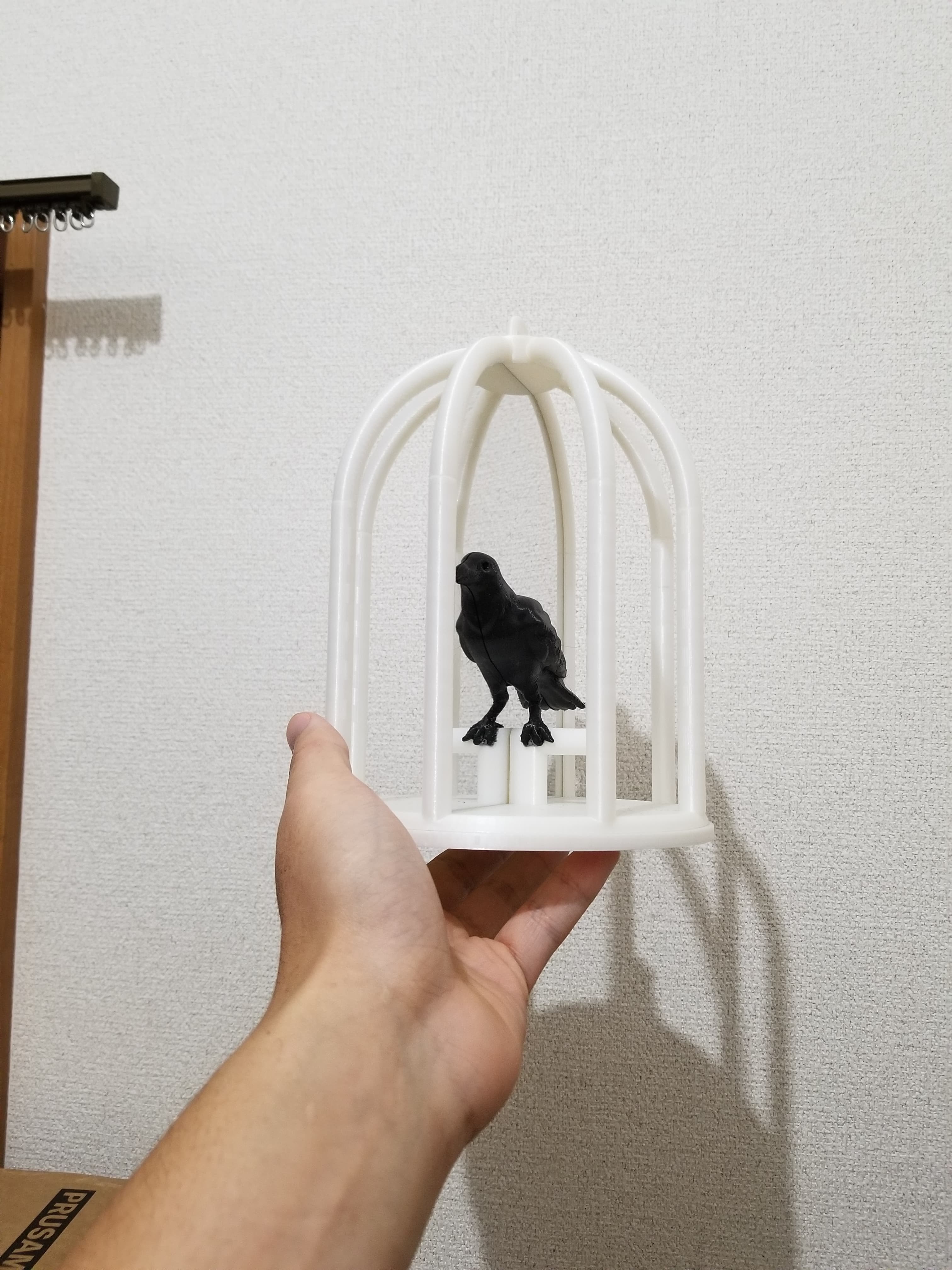 are you sure its a crow