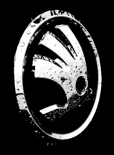 Skoda Logo "Filament Painting"