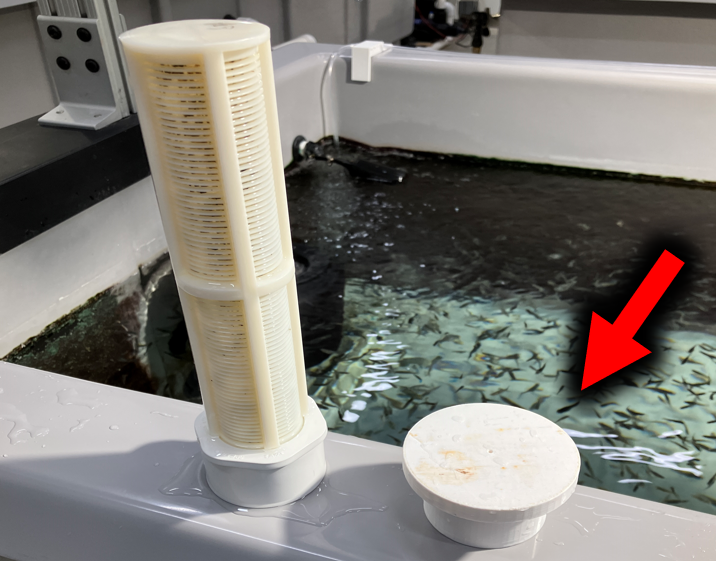 800 gallon Raceway, Tank Filter Cap