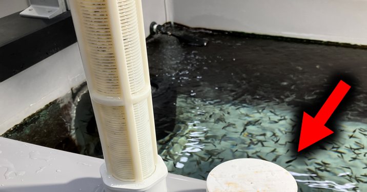 800 gallon Raceway, Tank Filter Cap par Mark Nakata | Téléchargez ...