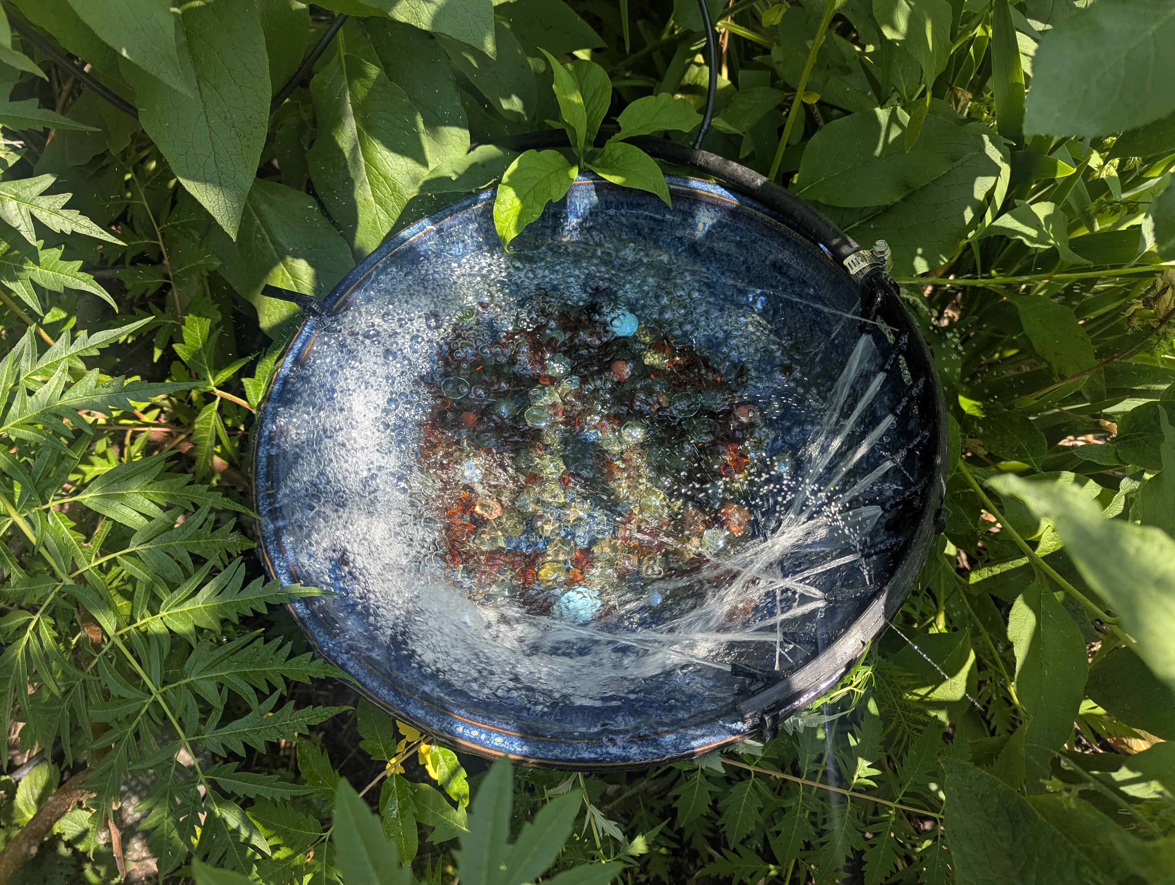 Bird bath jets