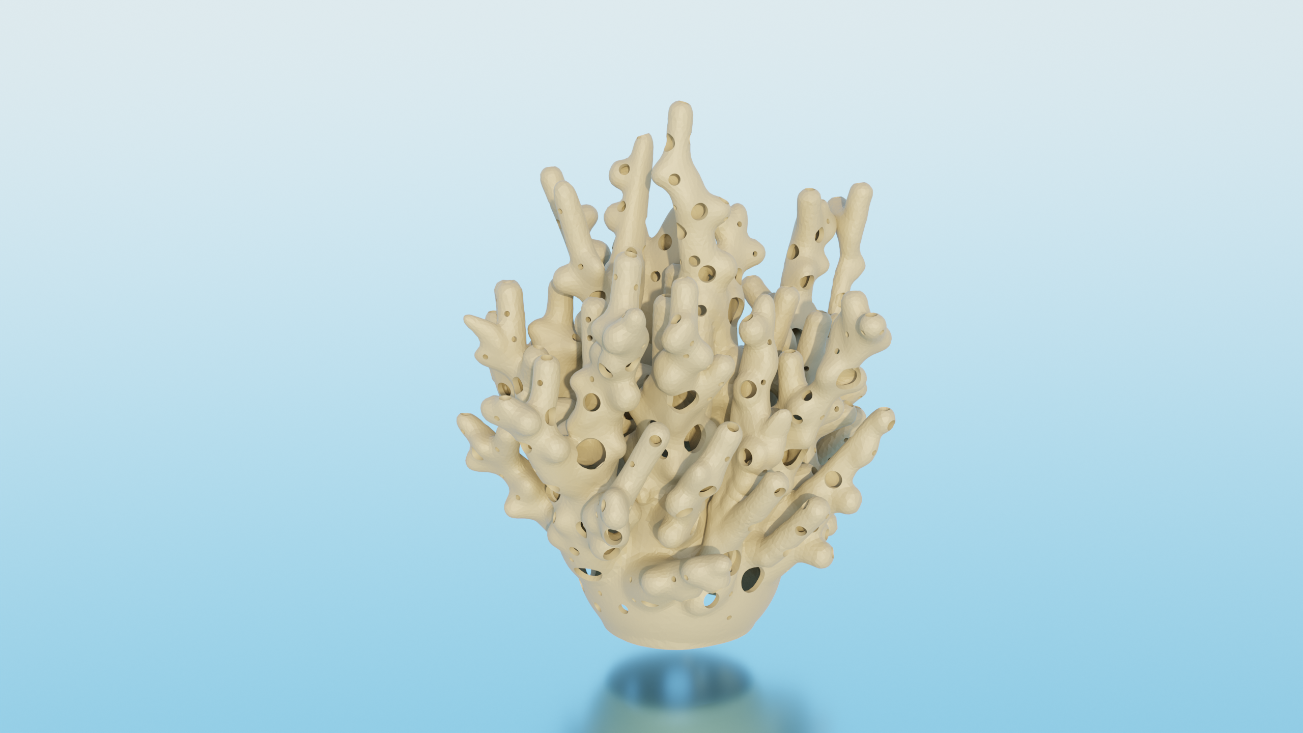 CORAL - AQUARIUM