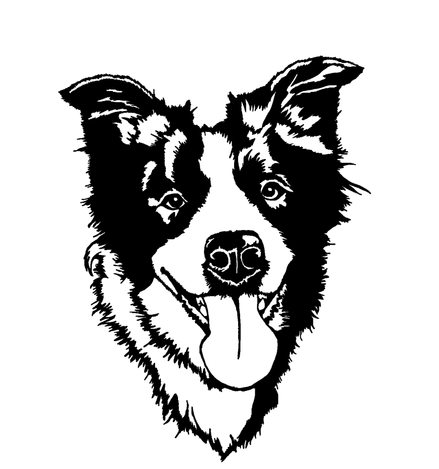 "Bala" Border Collie Wallart (Sadece Plastik Aparattır!!!)