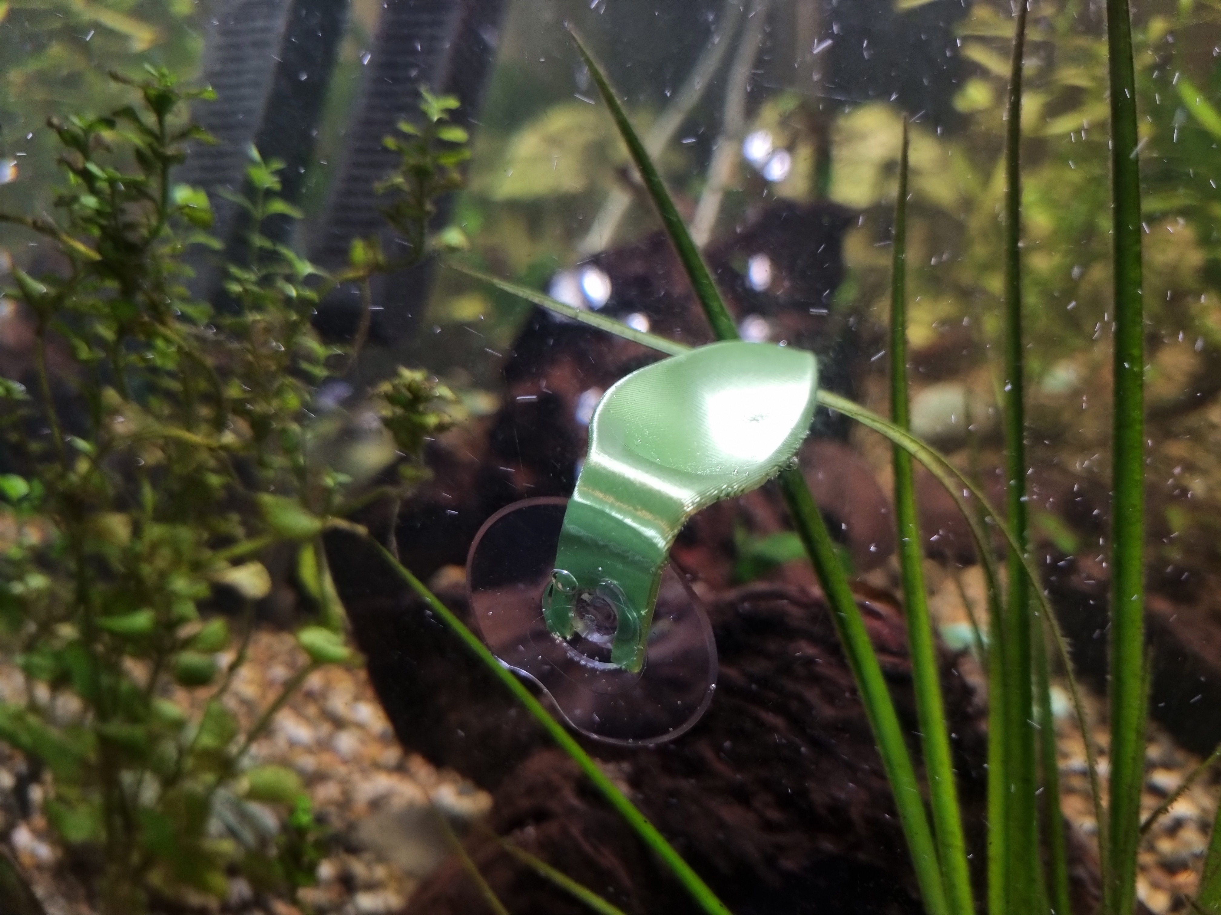 Miniatura 4 do modelo 3D Betta Fish Resting Leaf