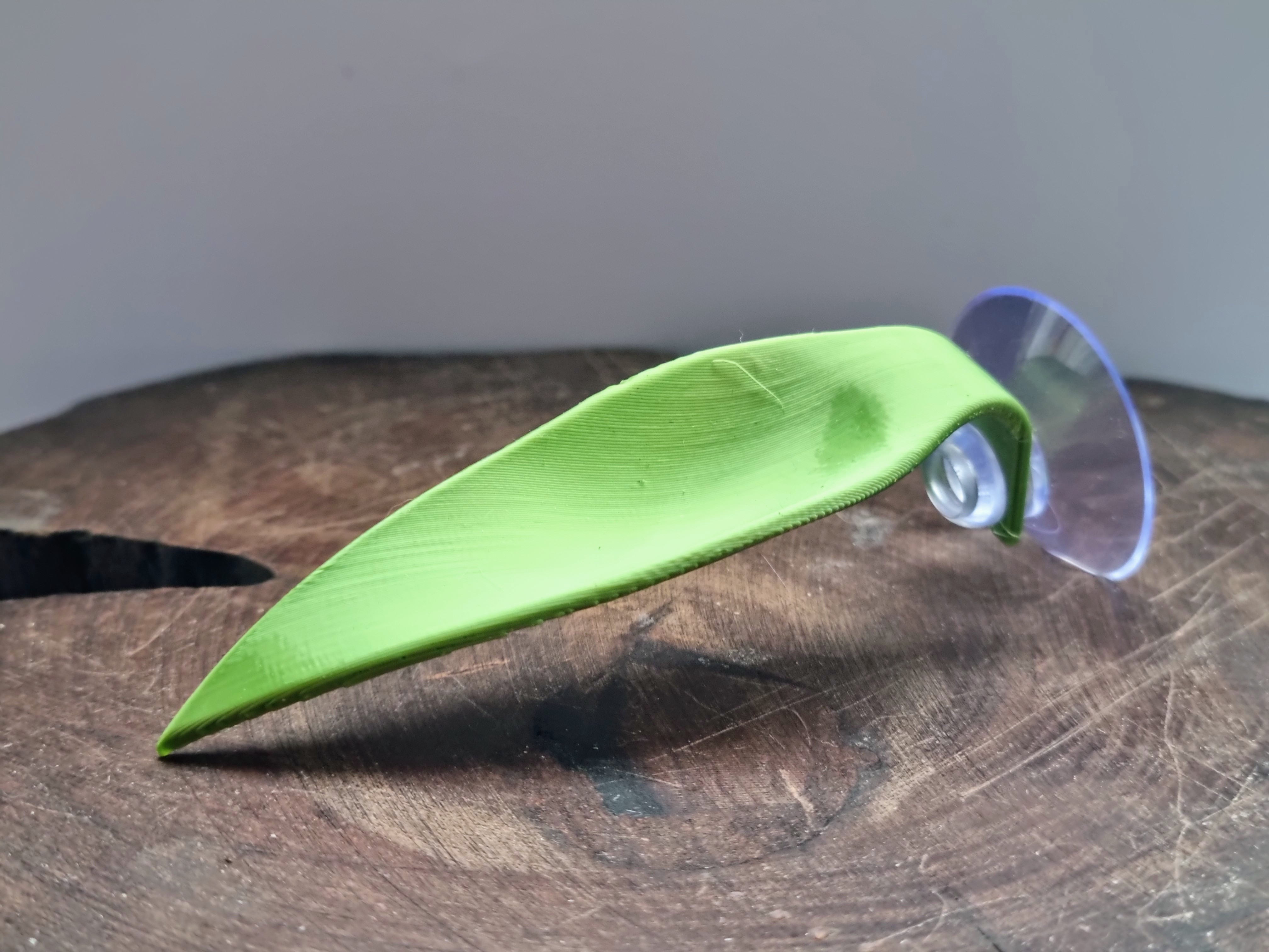 Miniatura 5 do modelo 3D Betta Fish Resting Leaf