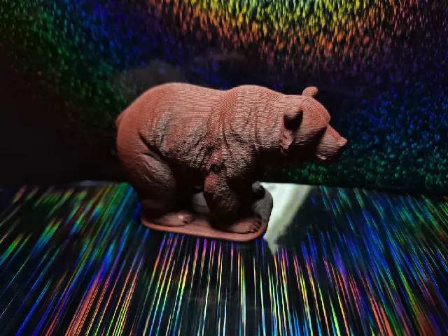 Grizzly Bear