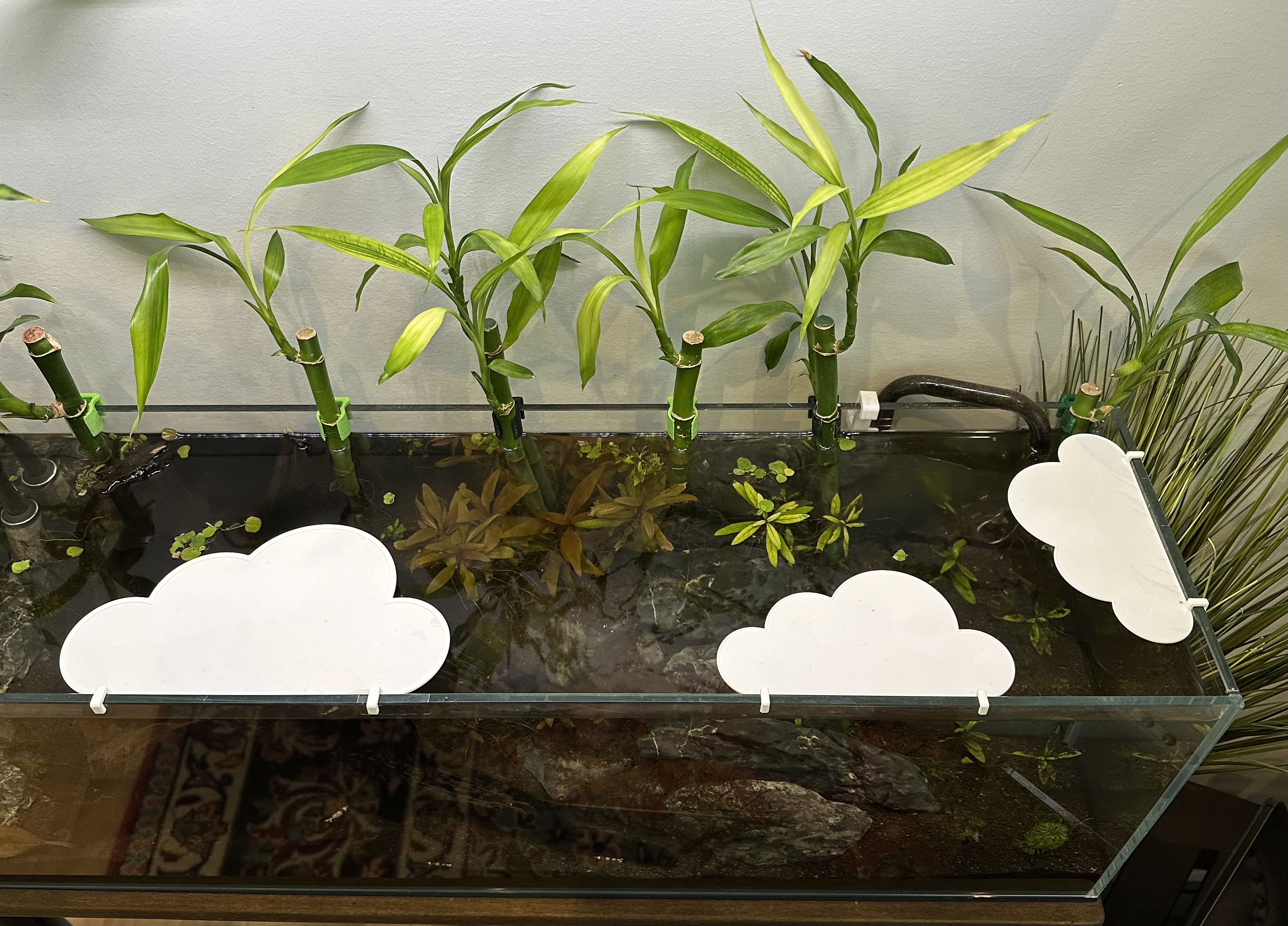 Happy Clouds aquarium shades