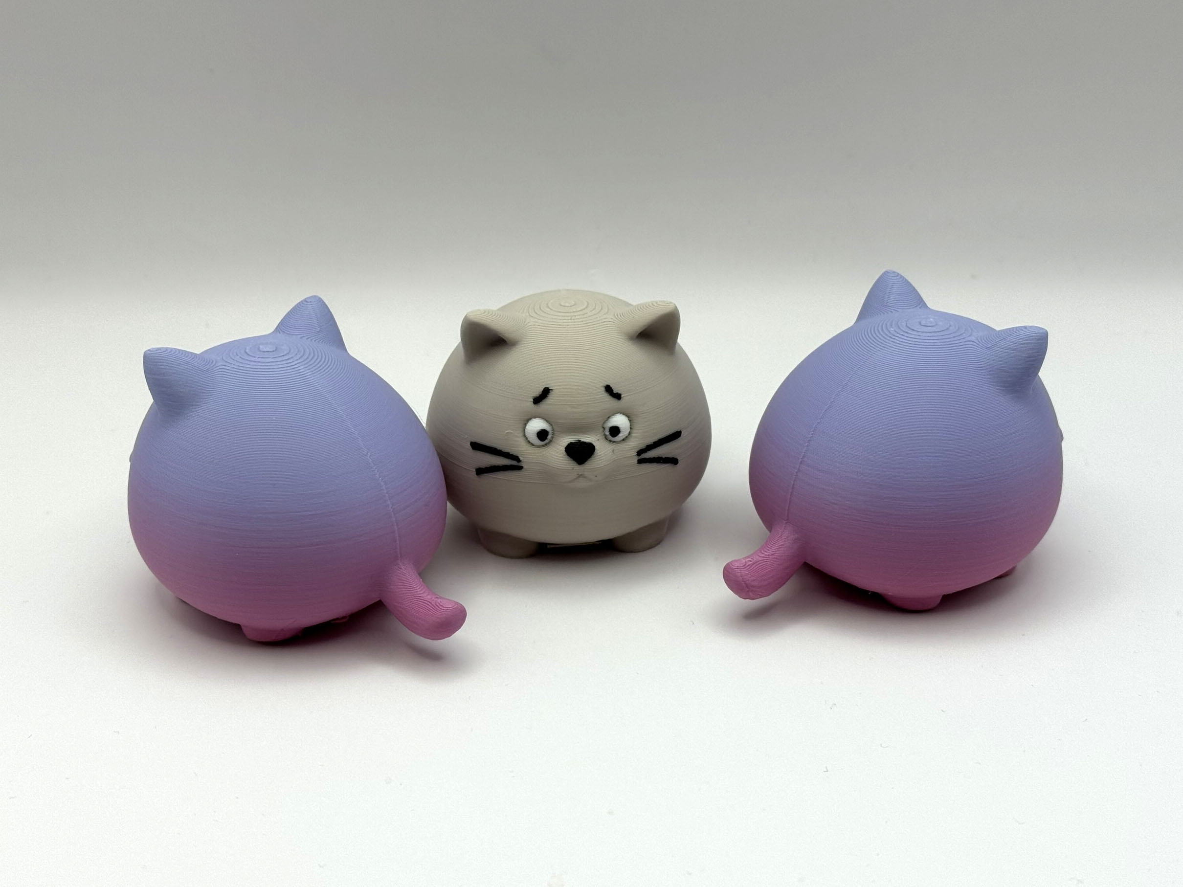 Chonky Ball Kitten