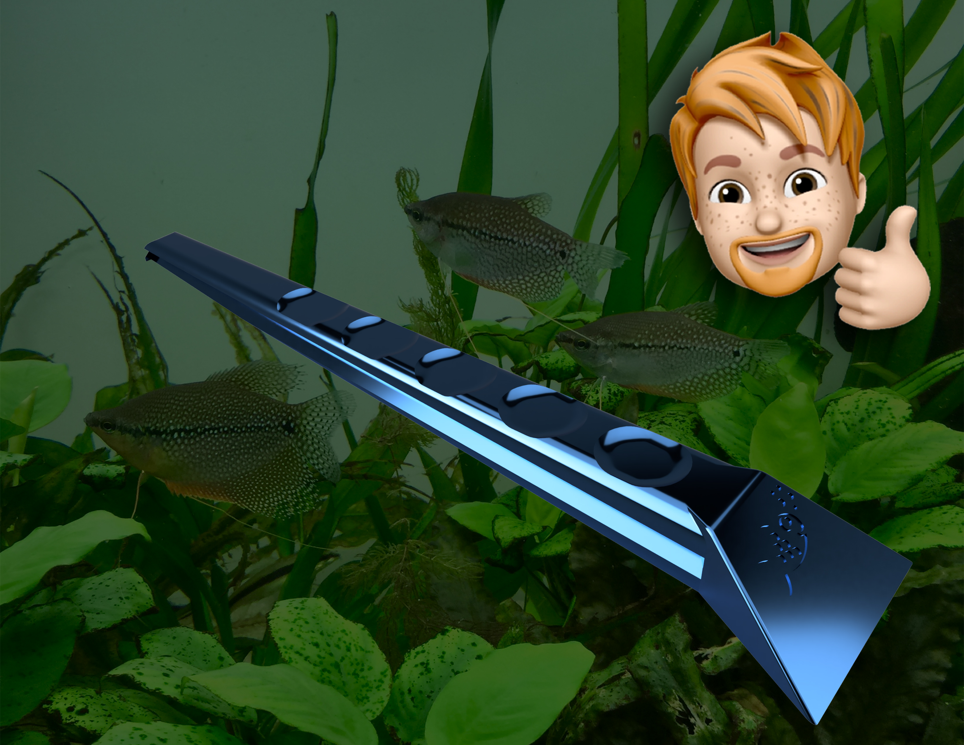 Fish Tank Cleaning tool