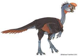 oviraptor