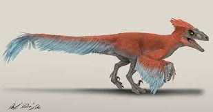 pyroraptor by seth the yutyrannus | Download free STL model ...