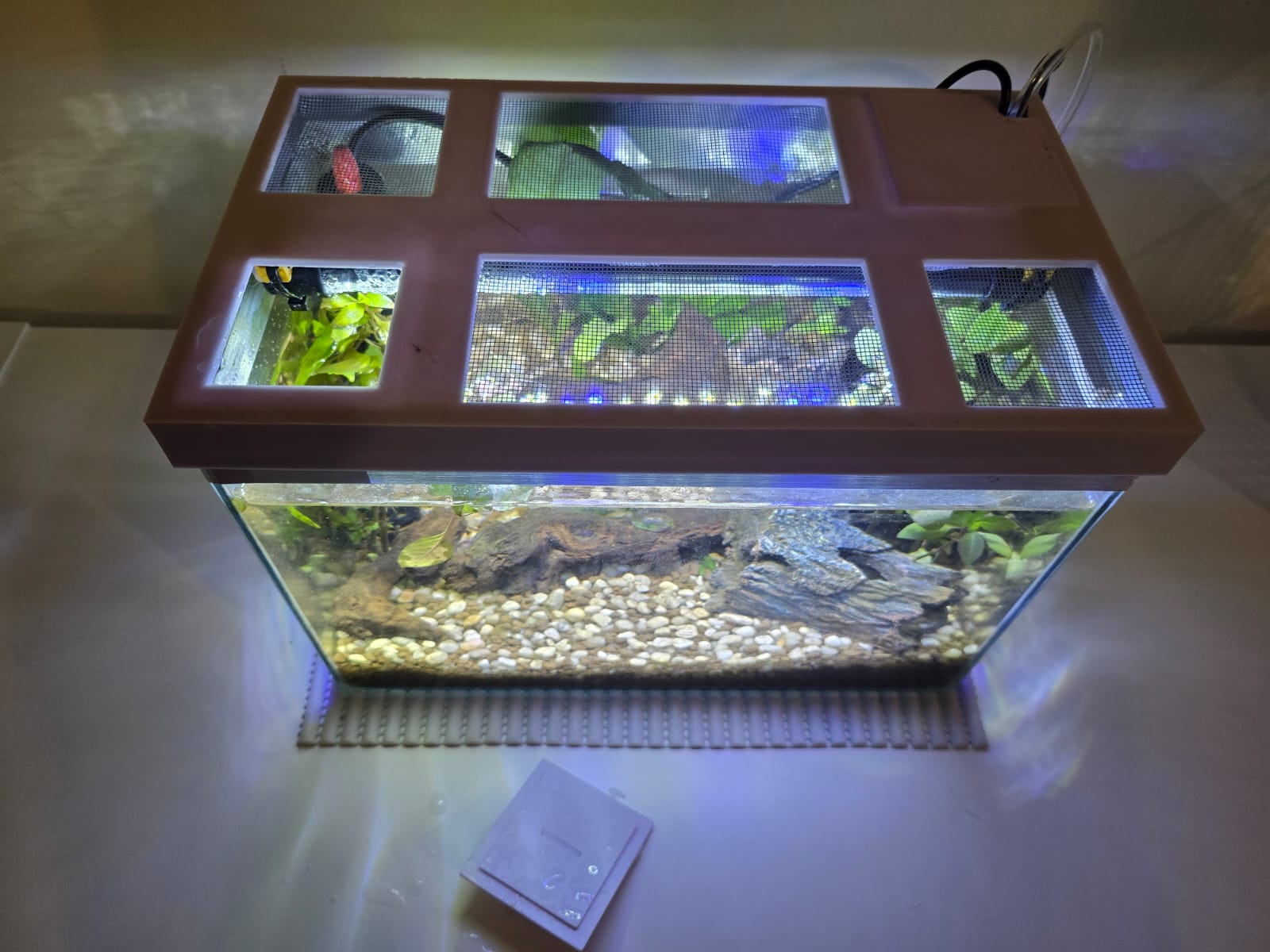Fish tank cover