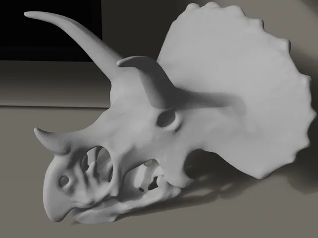 Triceratops skull(simple)