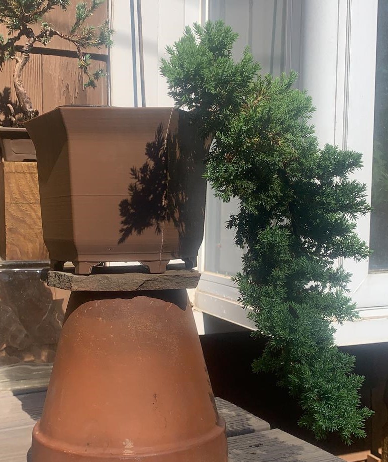 Bonsai Pot