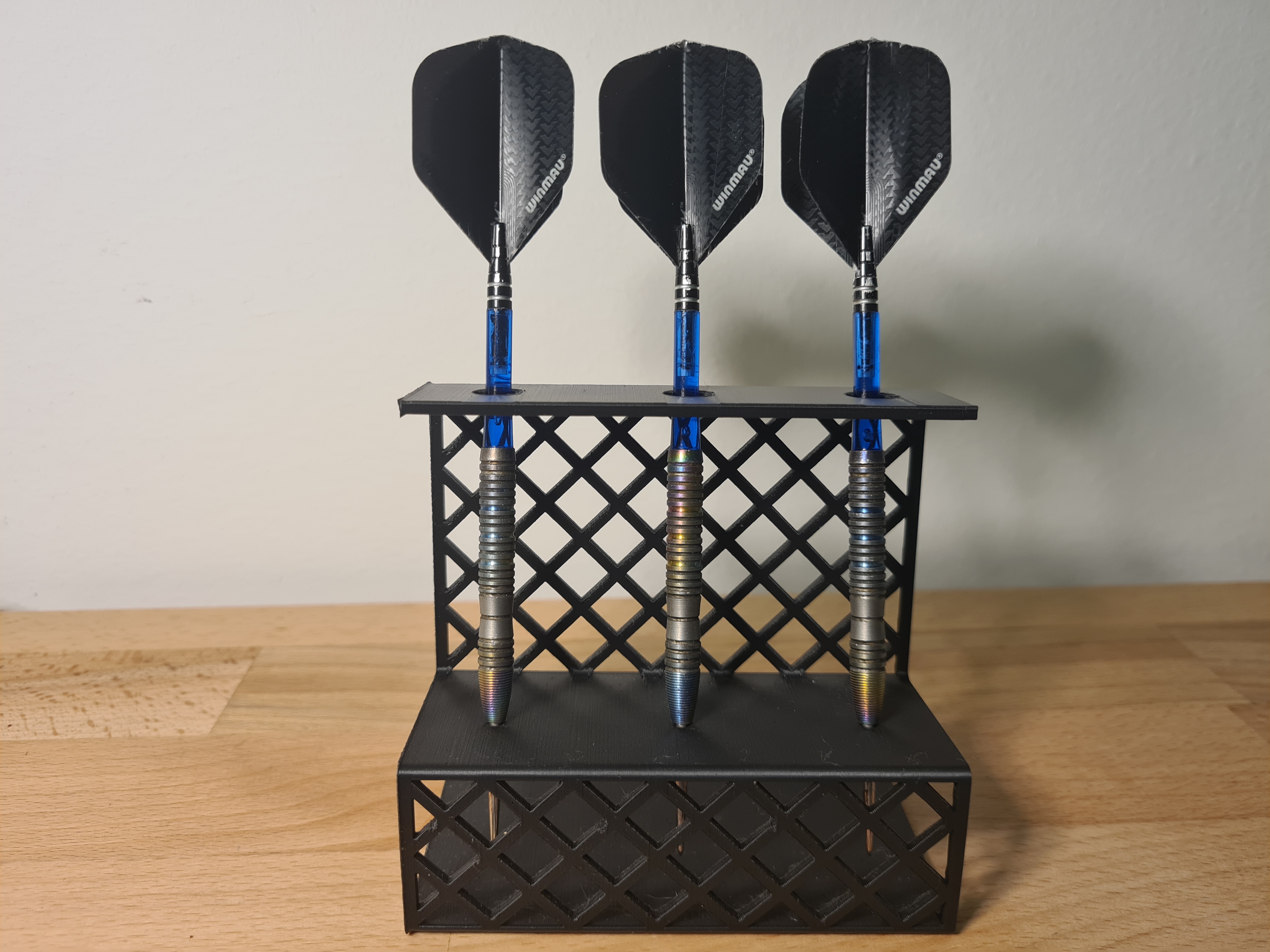 Dart Holder