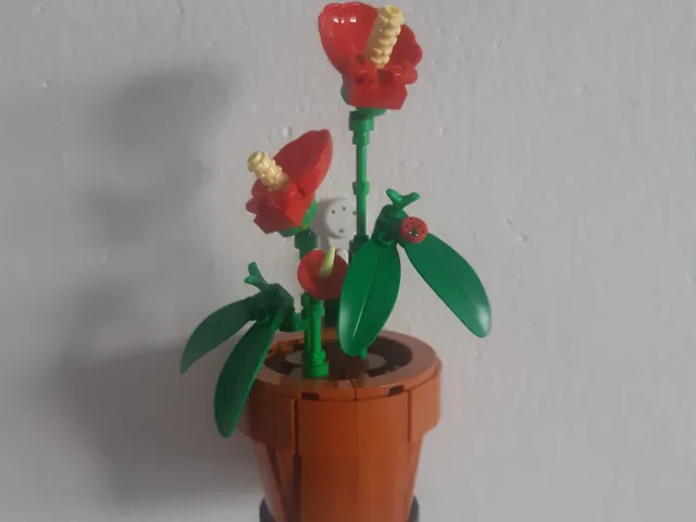 Tiny plants display hanger