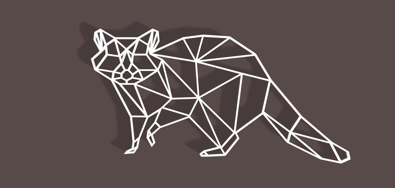 Geometric Racoon