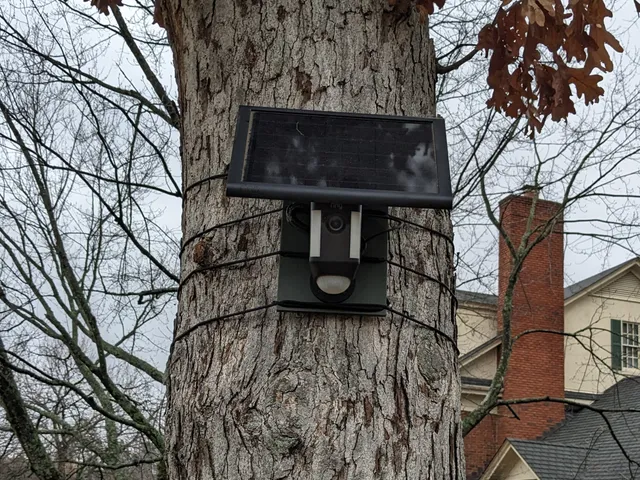Tree Hugger Ring Video Mount