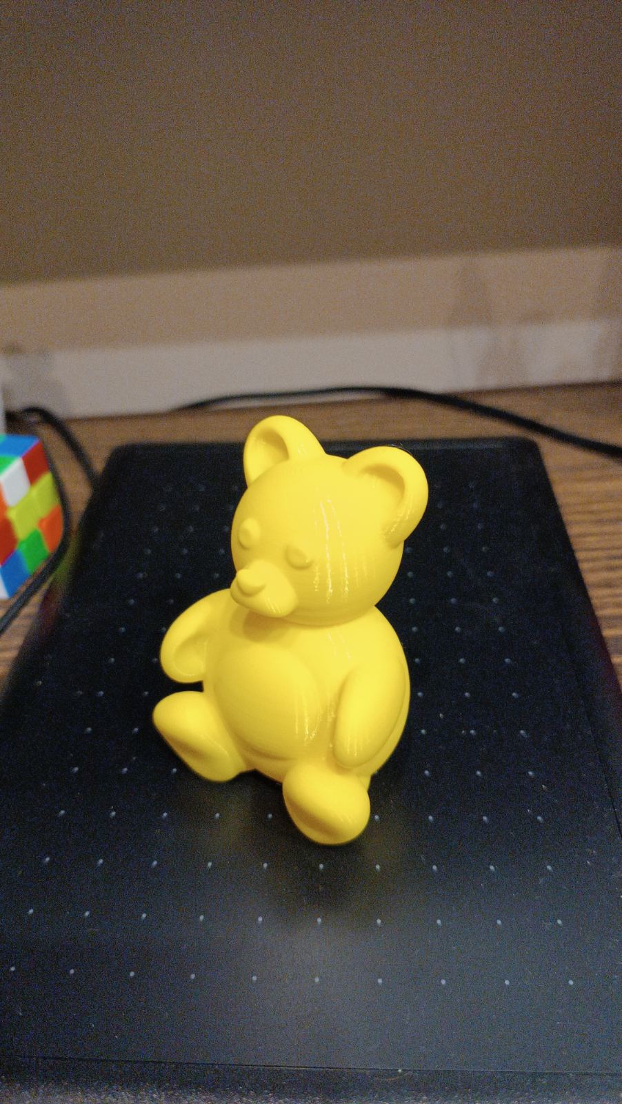 Cute bear