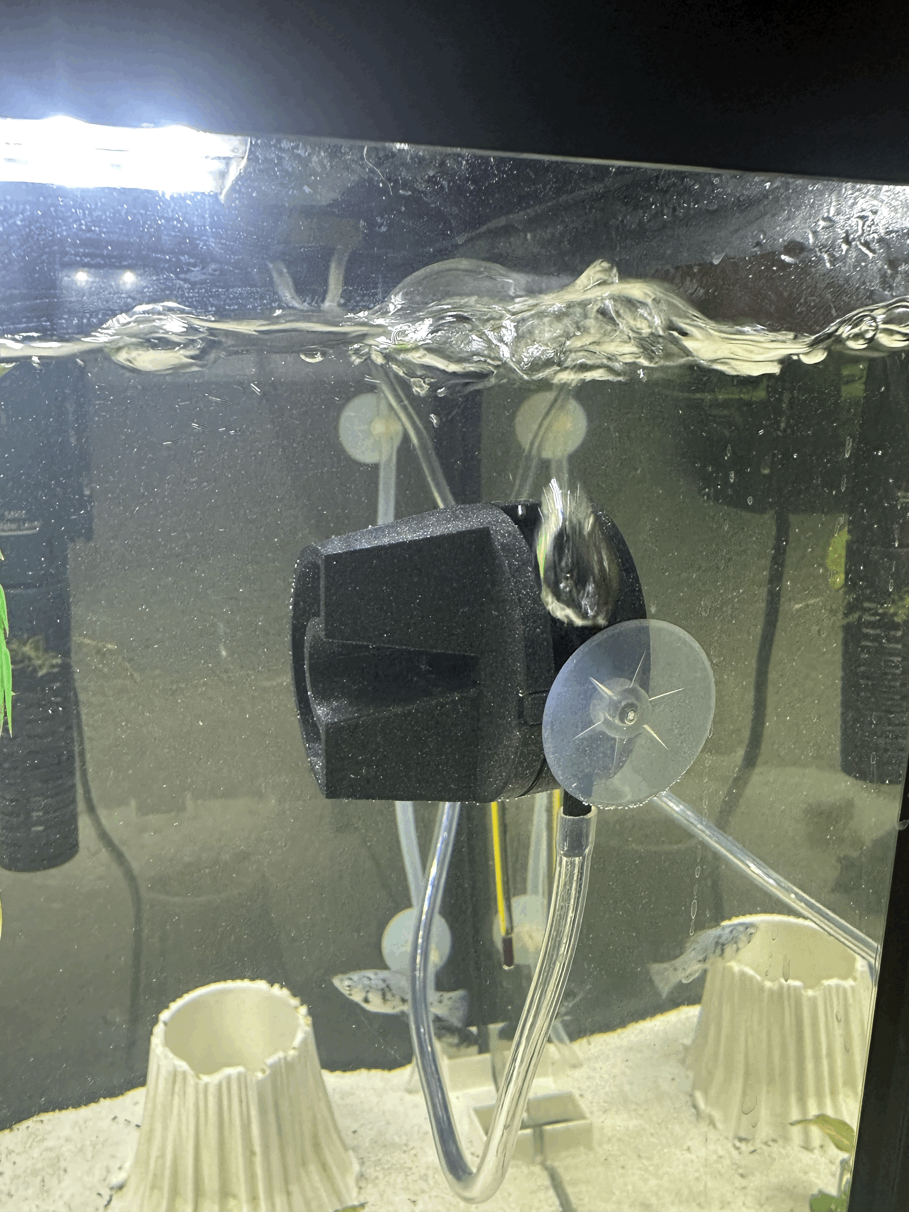 Aquarium circulation pump — miniatura 2