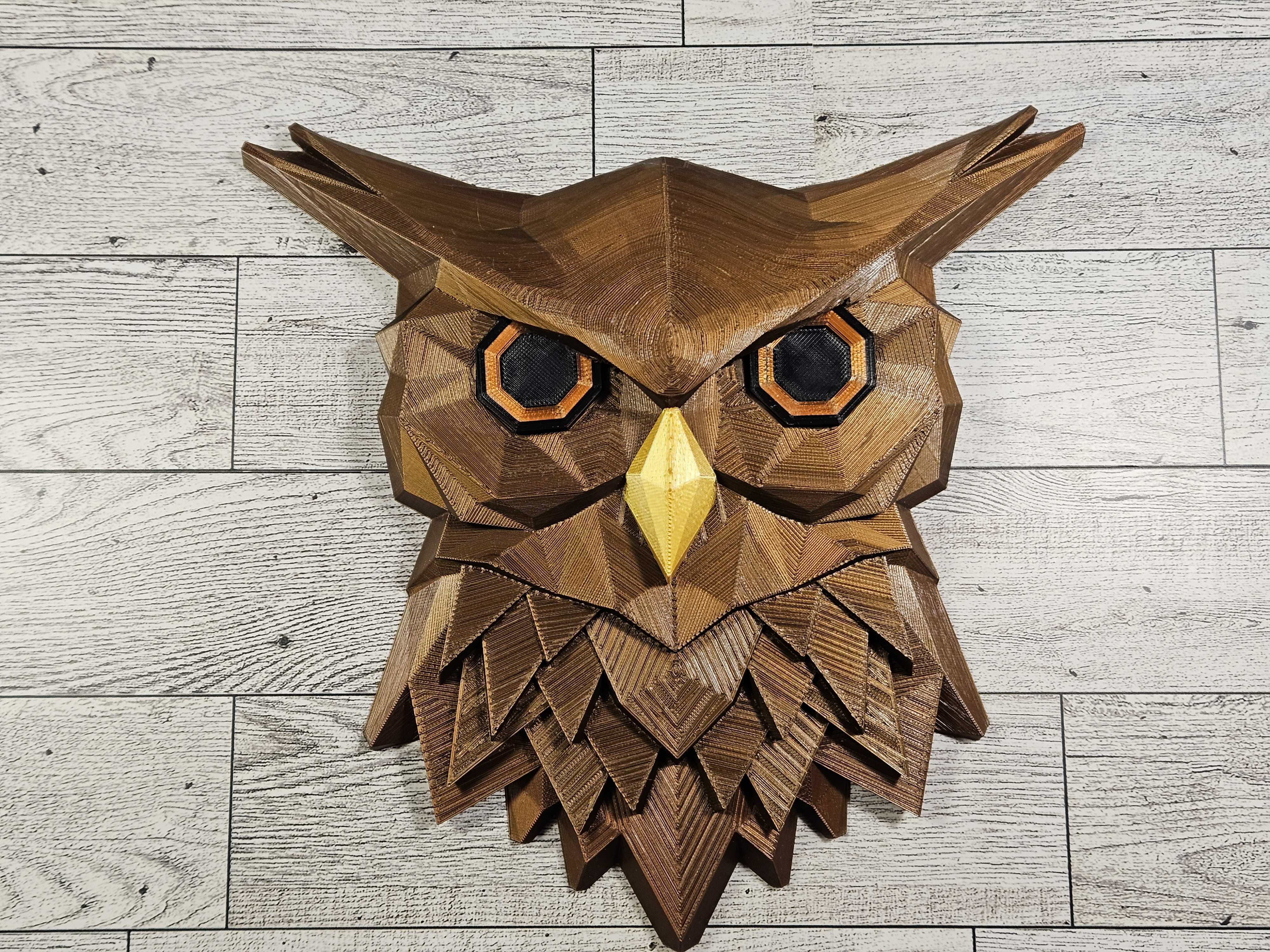 Midnight Hunter Owl Wall Art