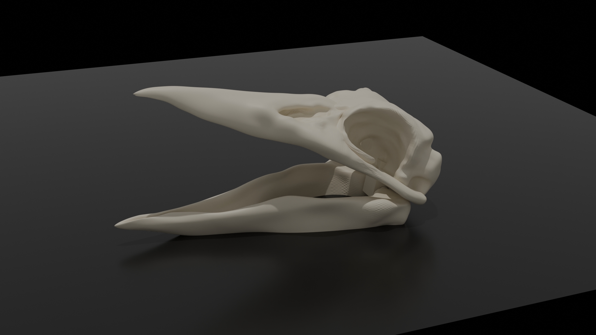 Calavera Cuervo by galego tattoo Download free STL model Printables com