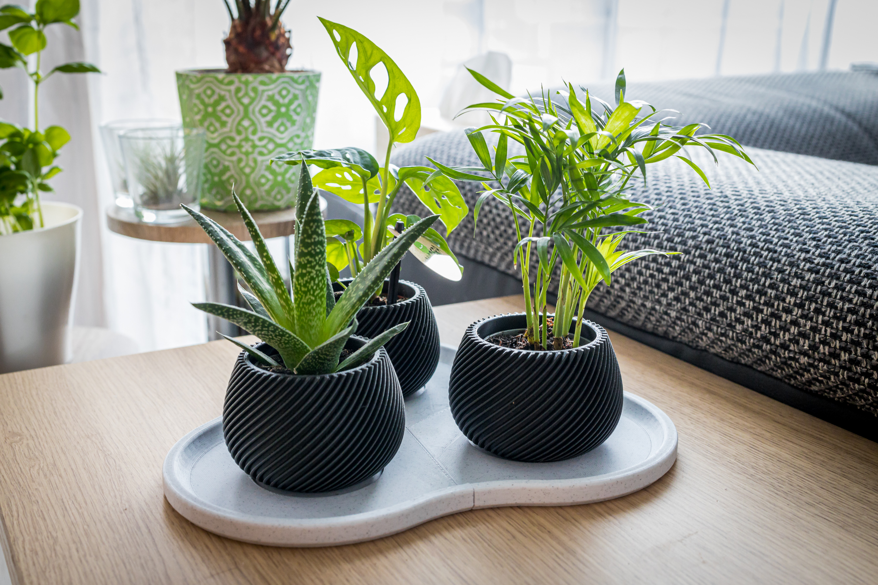 Modular Plate for "Modern spiral planter"