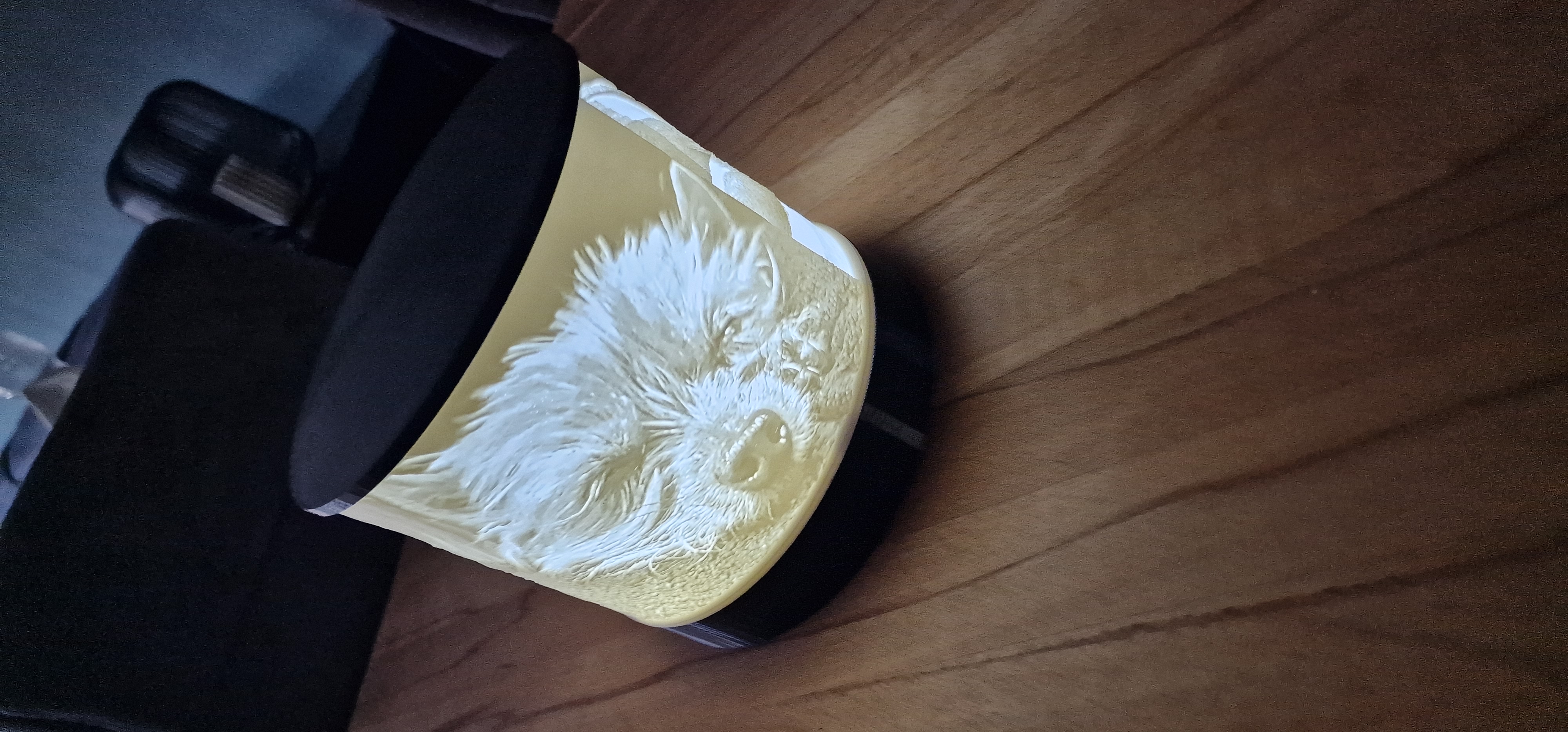 Litho Lamp Lithophane mit LED Beleuchtung