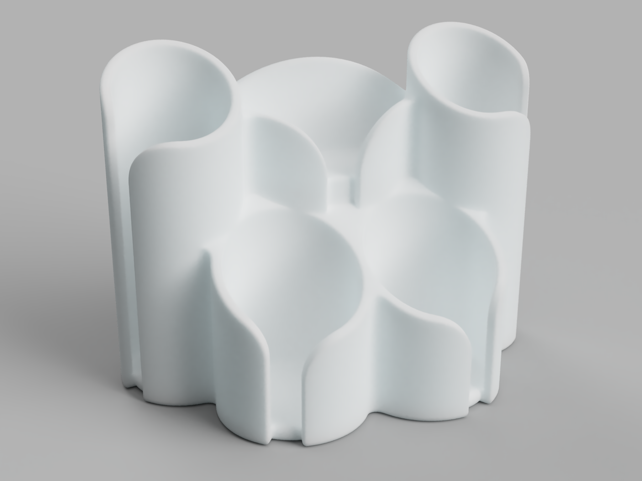 Toothbrush Organizer