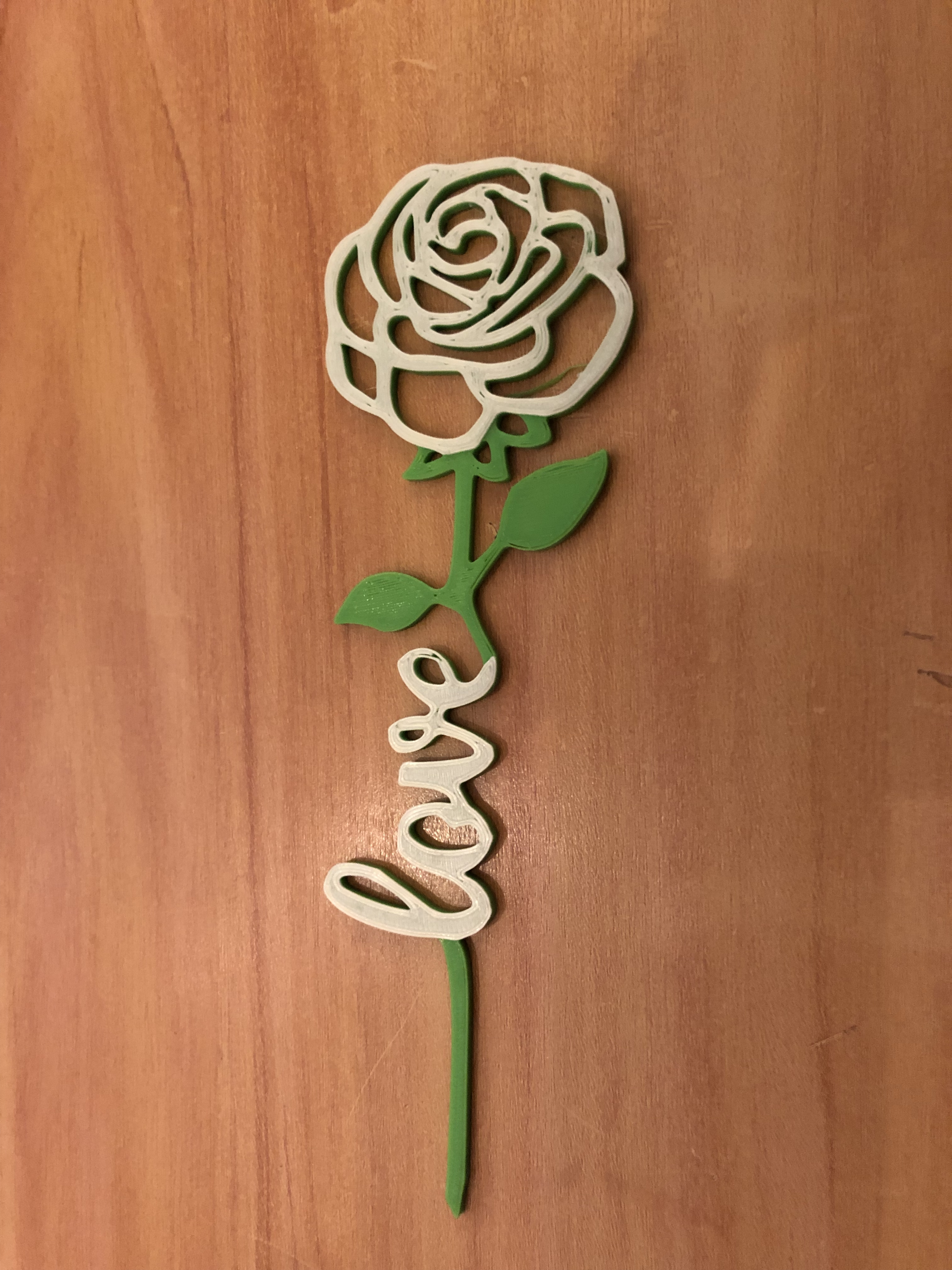 Valentine rose