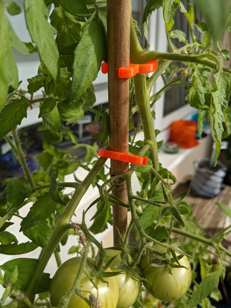 The Plant-Clip