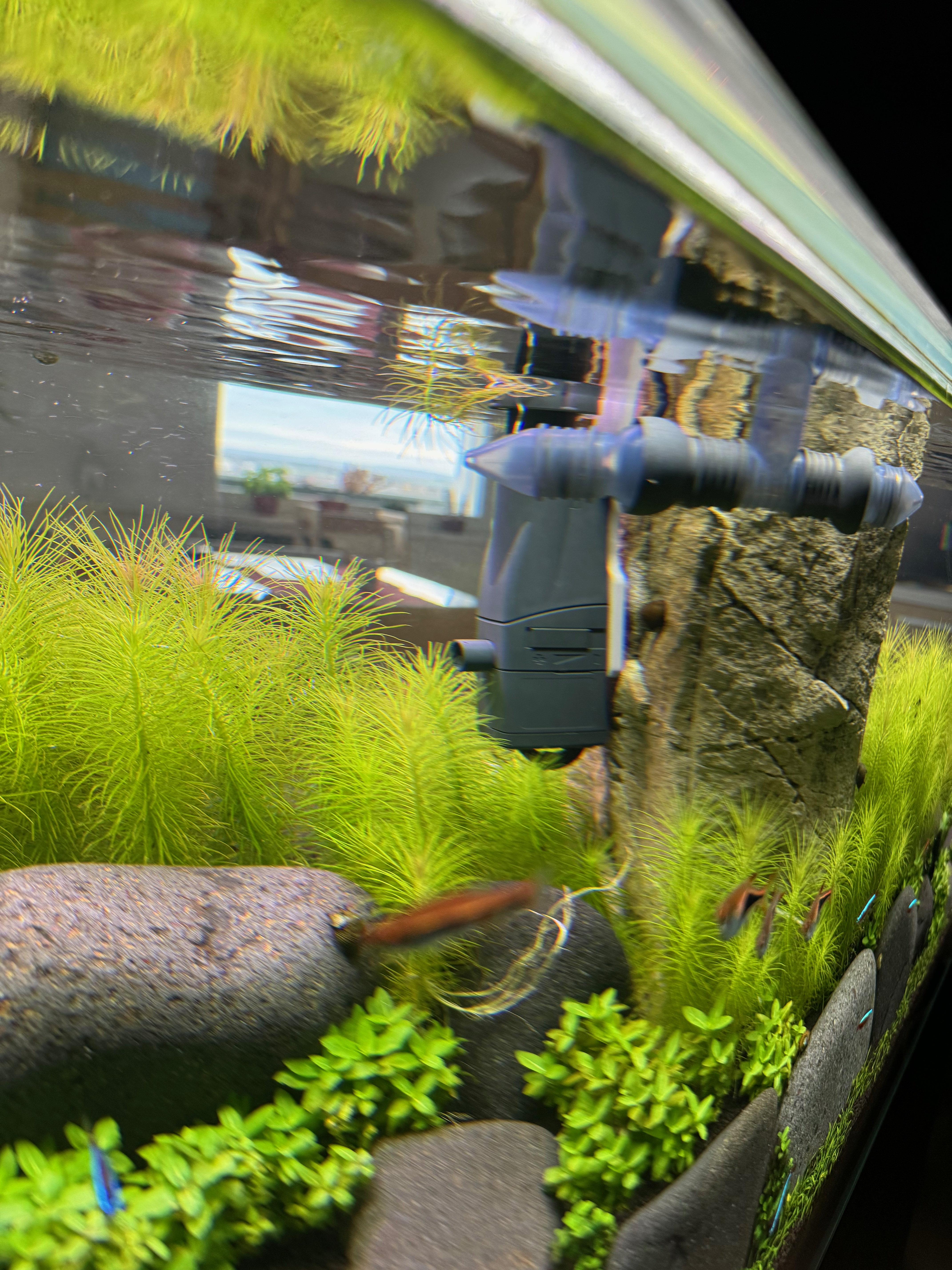 Miniatura 5 do modelo 3D Multifunction aquarium accessory holder